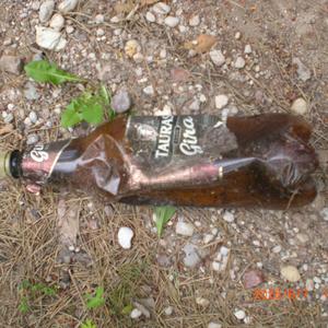 Bernvakario akimirka 2